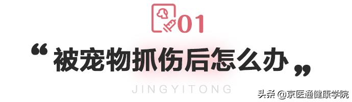 被猫狗抓伤咬伤怎么办,被猫狗抓伤第一步应该怎么处理