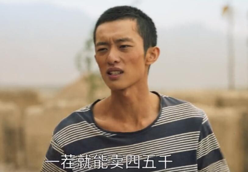 山海情结束后的感受,山海情追剧