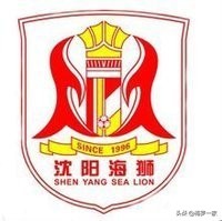 中国足球艰难前行,中国足球职业联盟筹备顺利