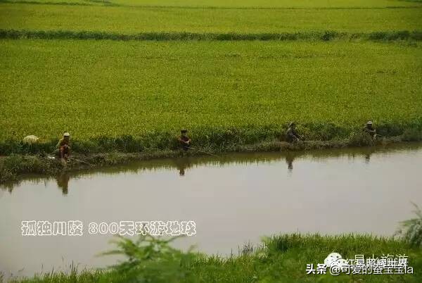 朝鲜七八十年代农村照片,80年代朝鲜老照片农村