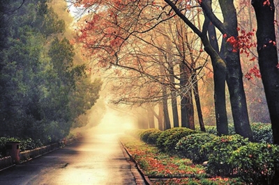 男朋友和前女友分手后还同居,男朋友和前女友复合还和我在一起