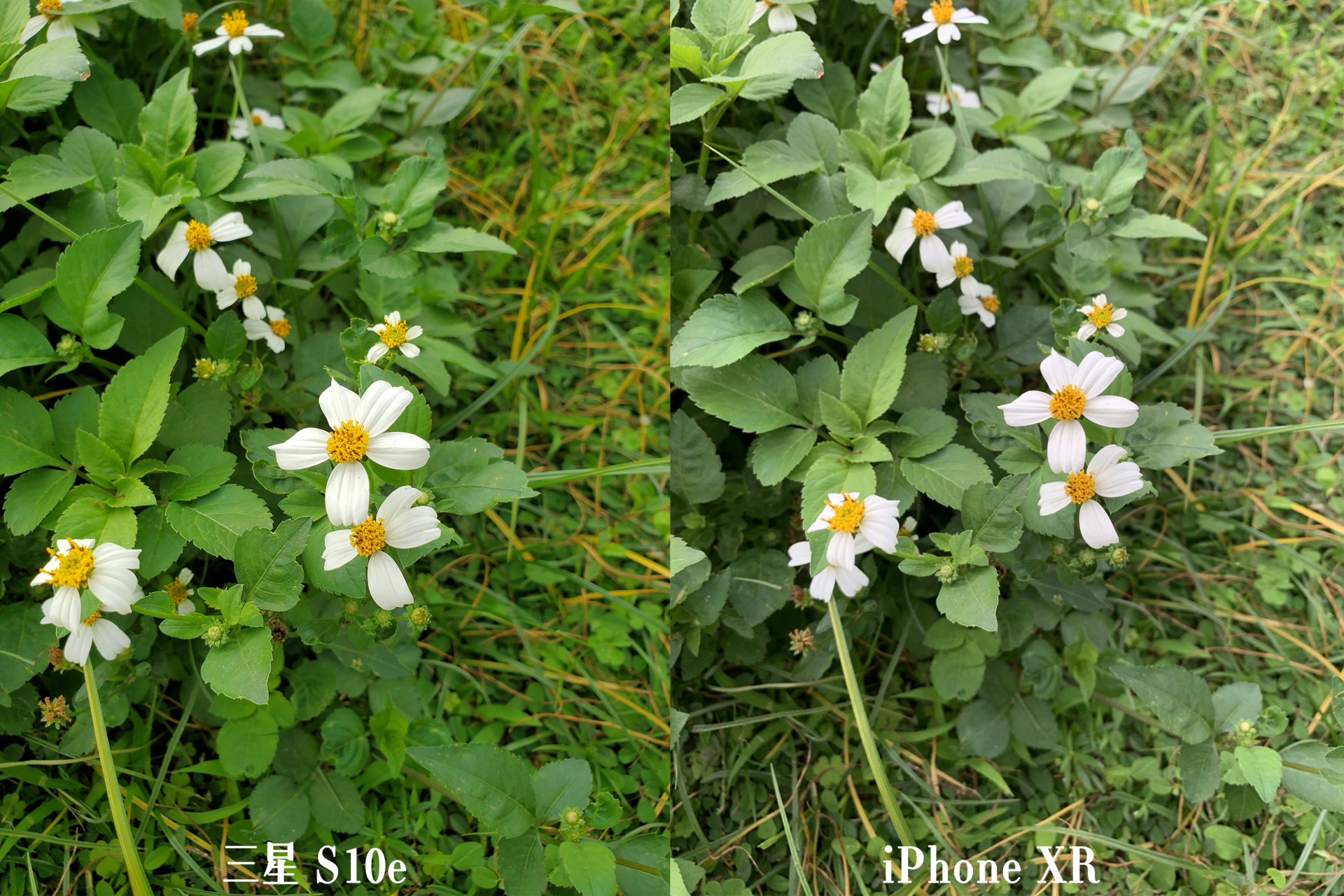 真小屏手机,三星s10e测评