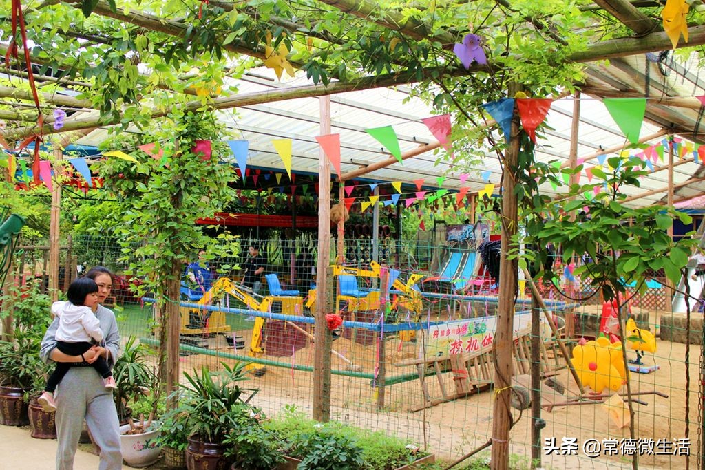 常德丹洲大草原介绍,丹洲草原风景