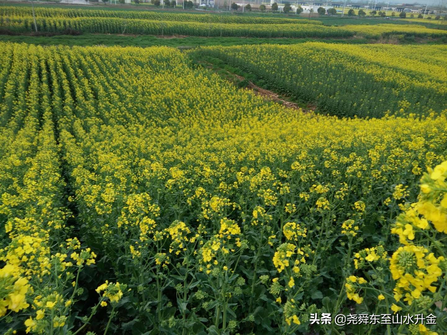 张溪镇是哪里,张溪镇有几个乡村