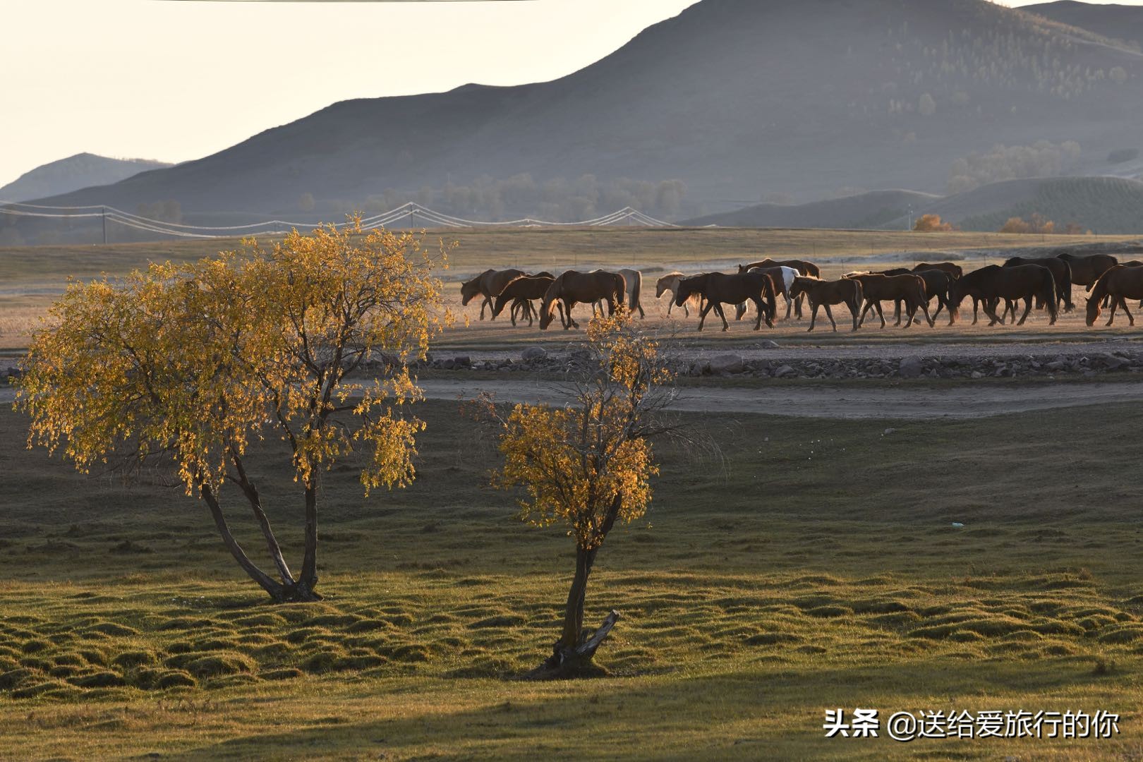 真正有品质的旅行是完全放松,享受独一无二的旅行体验