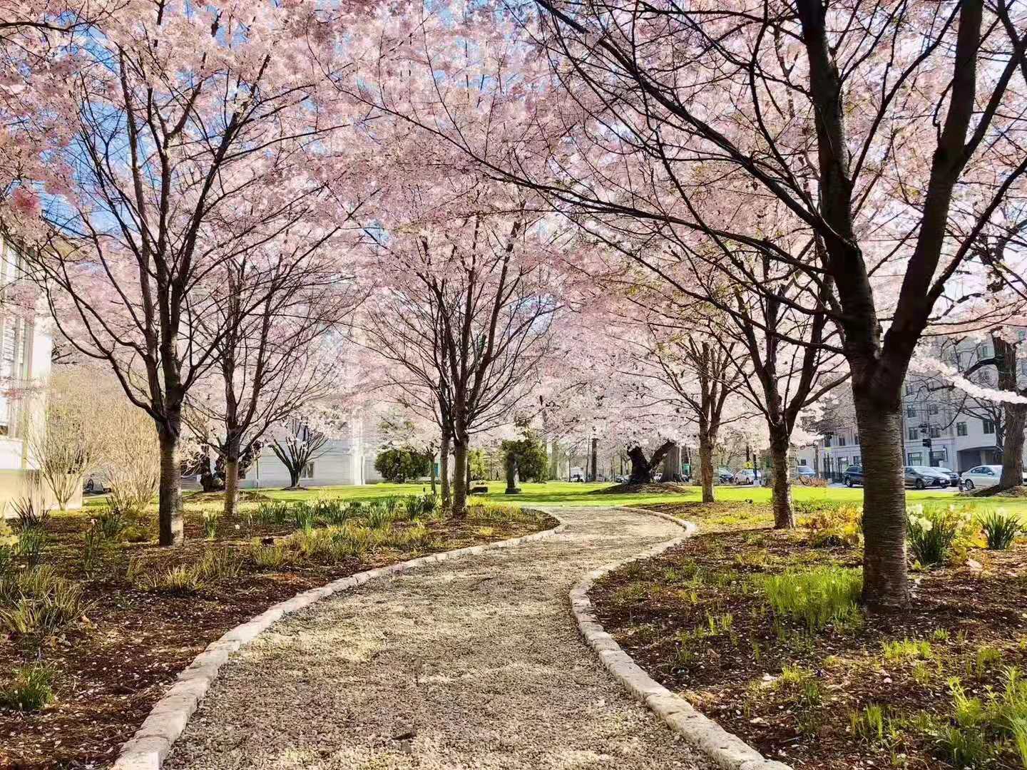 gmat和托福哪个难考一点,出国留学先考托福雅思还是gmat