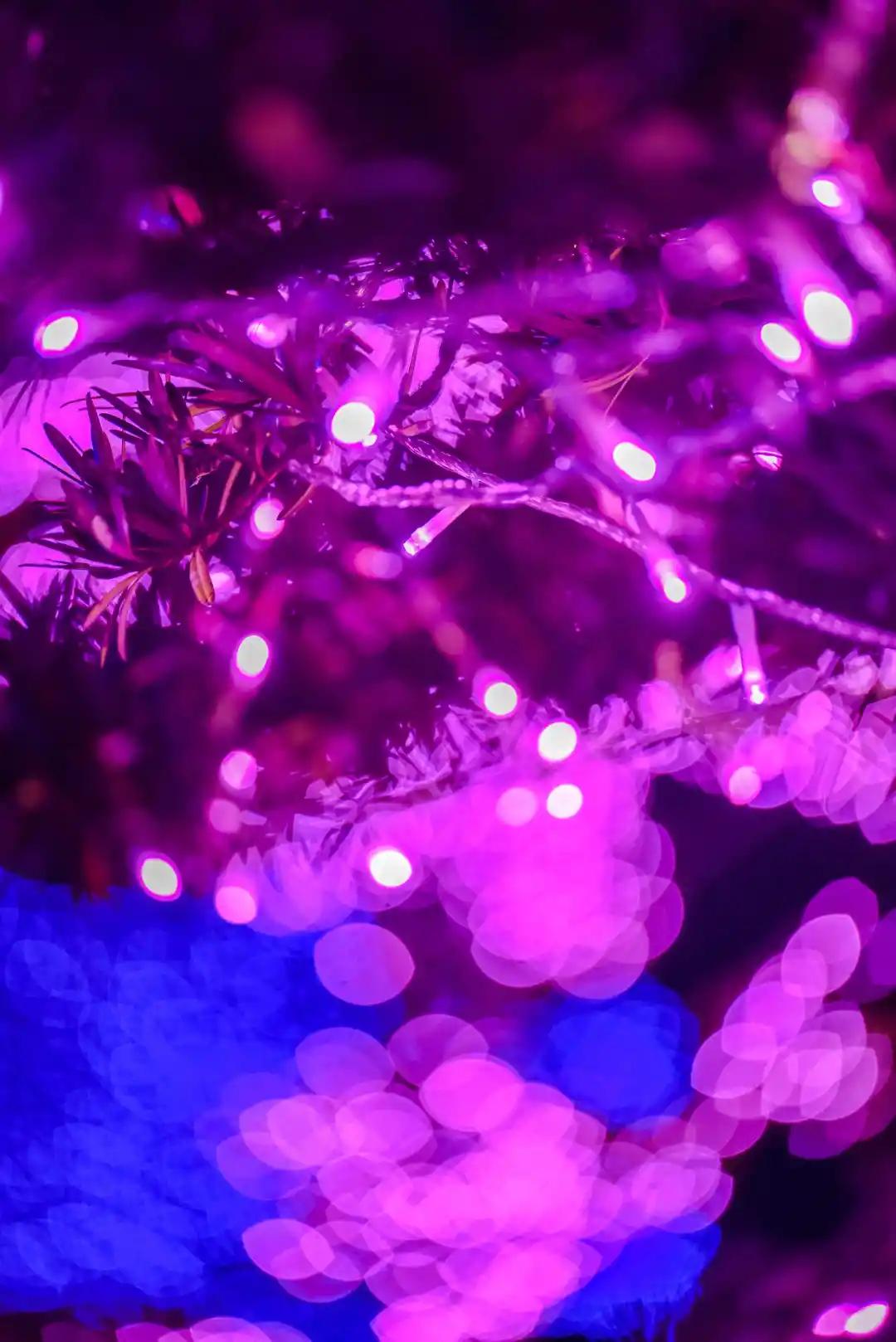 成都三圣乡恐龙主题公园,三圣乡恐龙主题公园地址