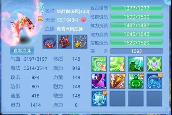 神武4手游宠物法术战戒的搭配,神武4手游配速宠物攻略