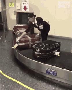 行李箱被机场弄掉了怎么赔,如何防止行李箱被摔坏