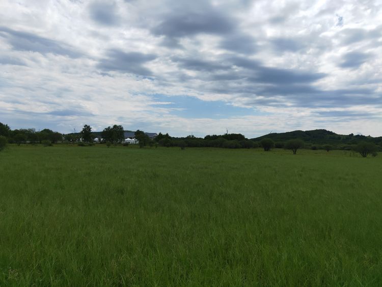 美丽的高岭塞罕坝,美丽的高岭朗诵