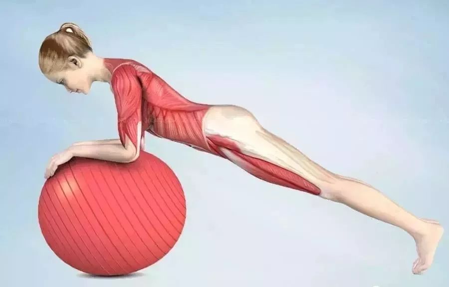 瑜伽练习中，如何正确的“收腹”，启动核心？