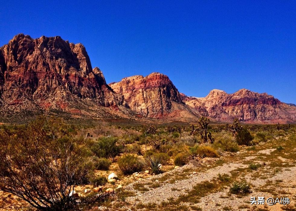 美国西部旅游必去景点推荐,美国东部值得去的景点排名