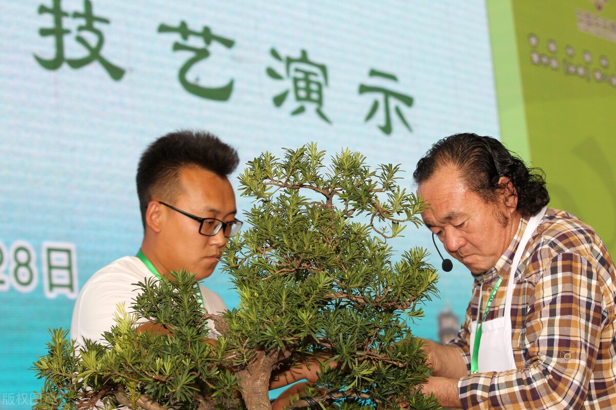 有什么靠谱的赚零花钱的方法,如何才能轻轻松松赚到零花钱