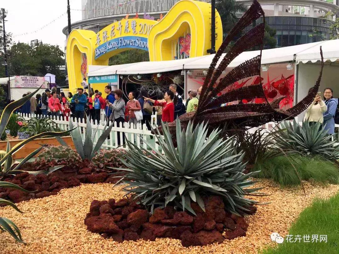 共赴盛会活动,香港国际花卉展