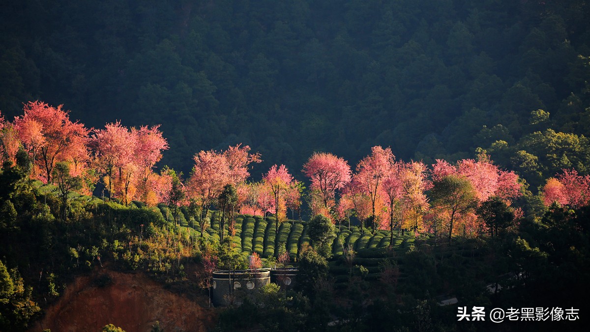 无量山镇游玩攻略一日游,无量山旅游攻略一日游多少钱