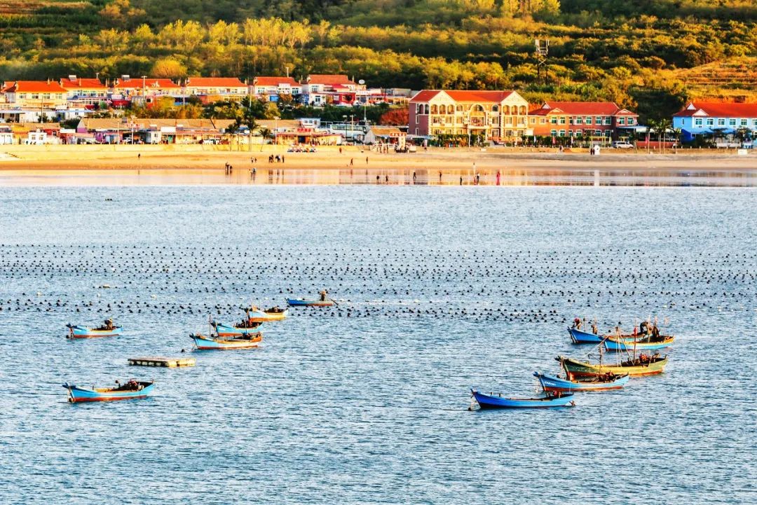 旅游三亚和厦门哪个更值得去,三亚和厦门哪一个更值得去旅游
