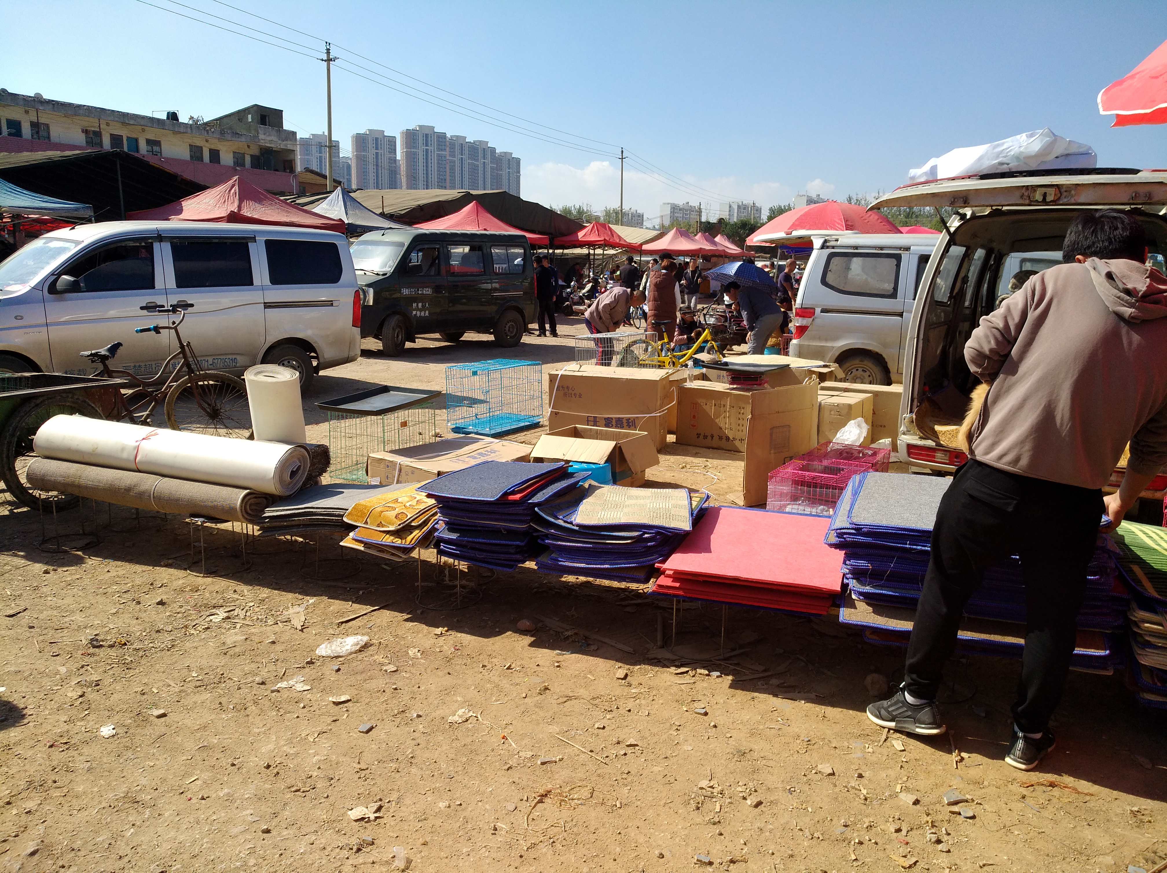 选择正规宠物托运公司,网上代购狗的靠谱吗