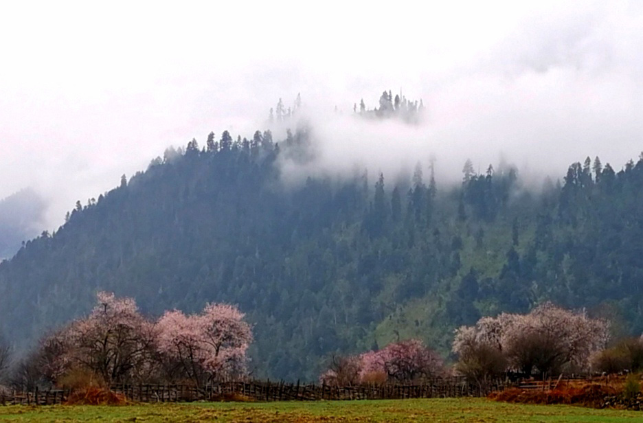 进藏day7试驾,自驾西藏day4