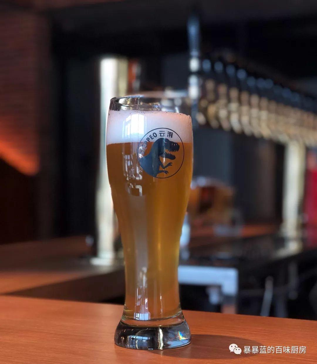 沈阳最大的精酿啤酒设备是哪家,沈阳最好的精酿啤酒坊