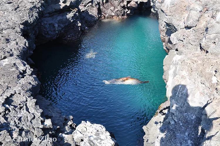 瀹氬埗鍒涙剰鏃呰,鍒涙剰瀹氬埗鏃呰