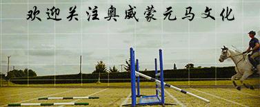 马匹用具介绍,马匹种类介绍