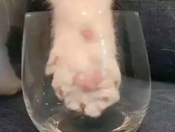 优衣库疯抢体恤视频,优衣库联名款t恤疯抢