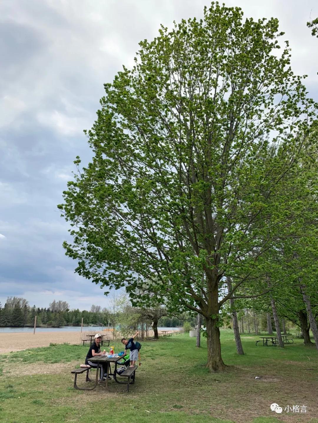 游客也可以免费医疗的国家,国外疫情游客免费治疗吗