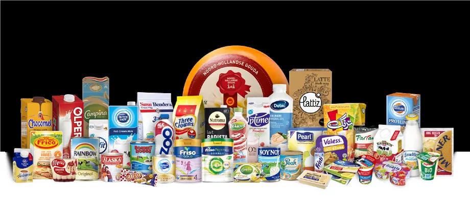 美素佳儿是怎么样的公司,皇家美素佳儿市场占有率