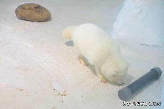 亲子珠海长隆海洋王国一日游攻略,珠海长隆海洋王国游玩攻略亲子