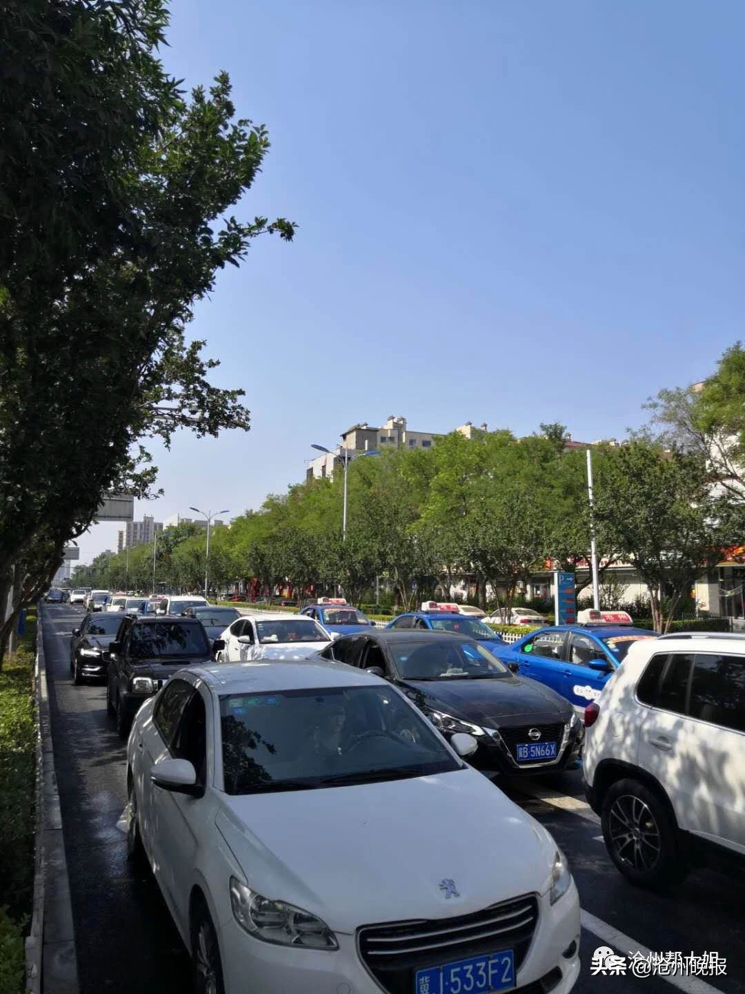 浮阳大道直行车道减少后经常造成拥堵交警部门：已提交新规划报告