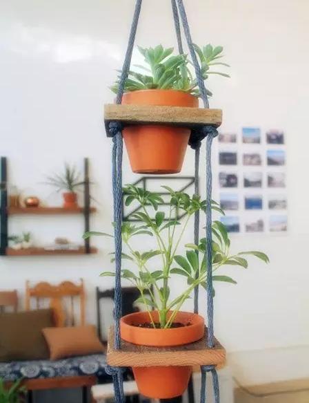 家庭养花的花架装饰效果图,养花达人的室内阳台