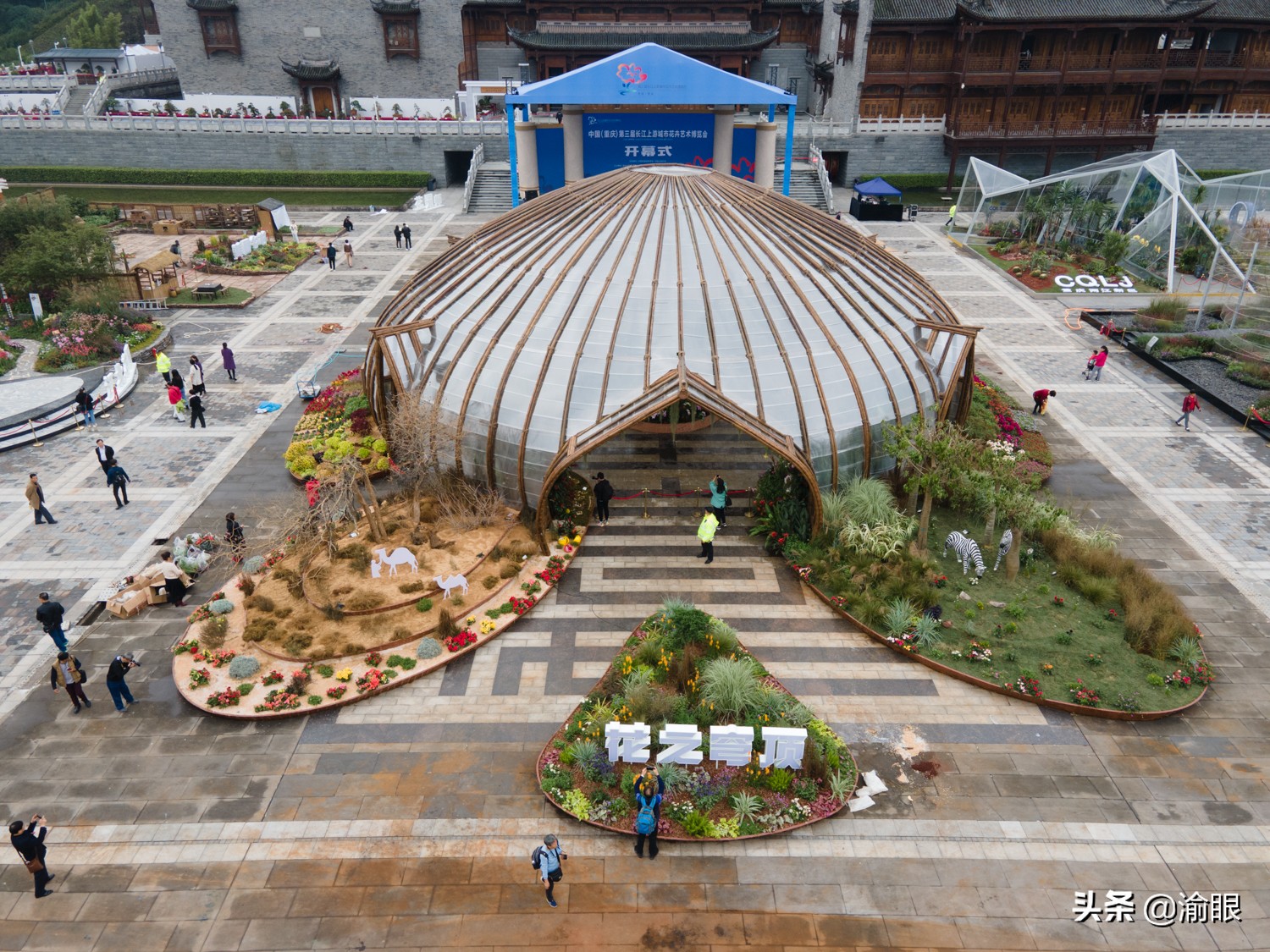 重庆第三届花博会预约门票,重庆城市花博会可以预约多少人