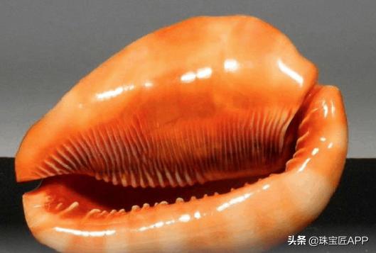 贝壳手工珠宝首饰,贝壳类珠宝首饰