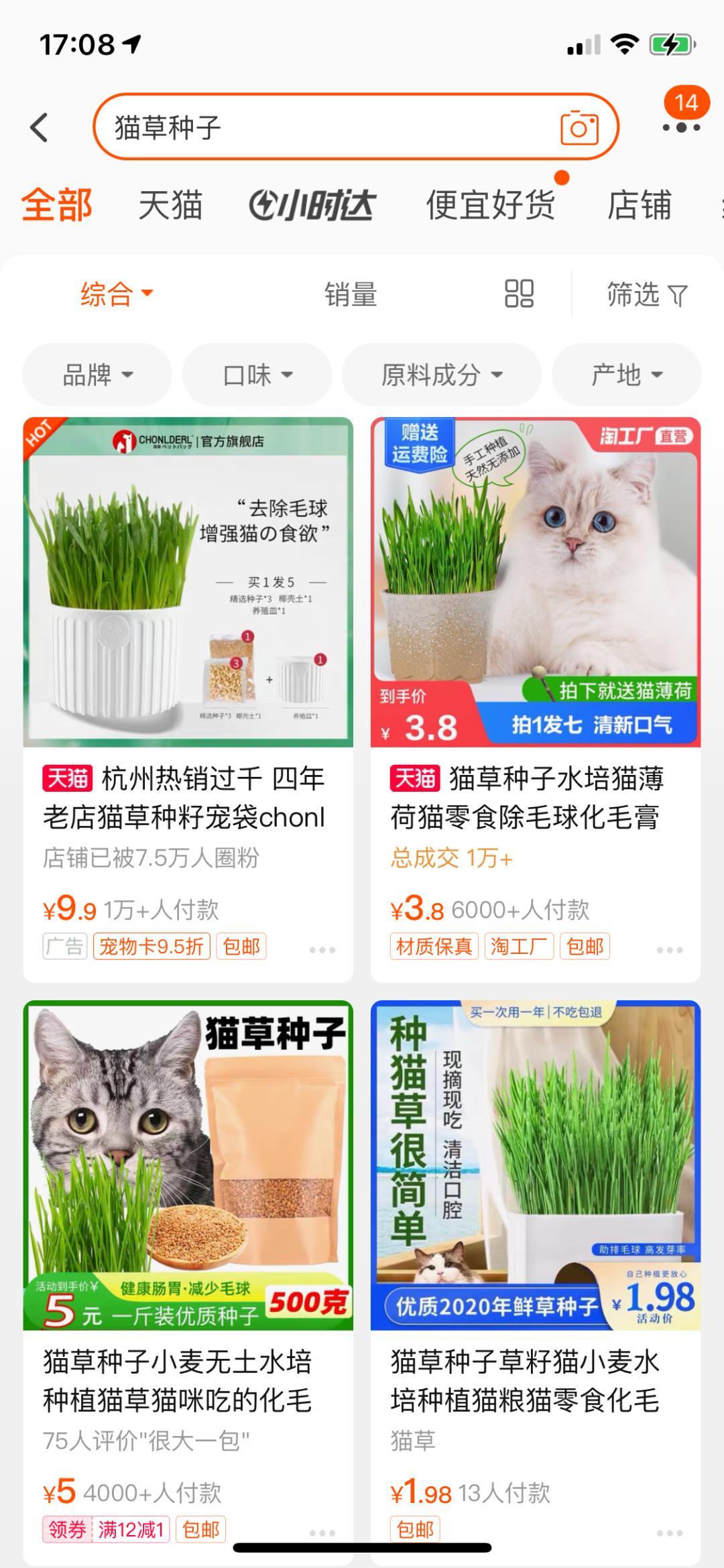 路边随便采野花,路边哪些草可以当猫草