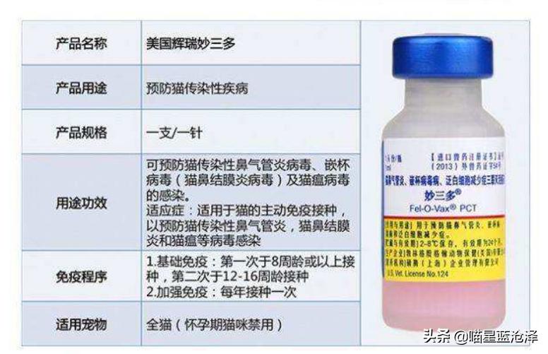 幼猫养护知识大全,幼猫驱虫的注意事项