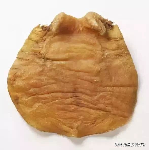 怎么买鱼胶不踩坑,怎么购买鱼胶最好