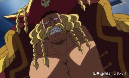 海贼王草帽海贼团11个成员,海贼王草帽大船团队员叫什么
