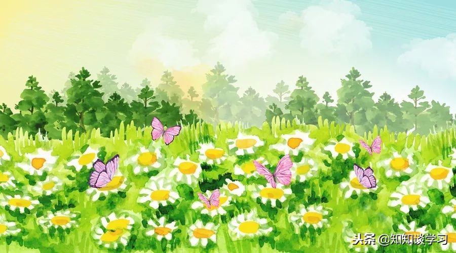 小学几何求阴影部分面积教学视频,五年级几何图形求阴影部分的面积