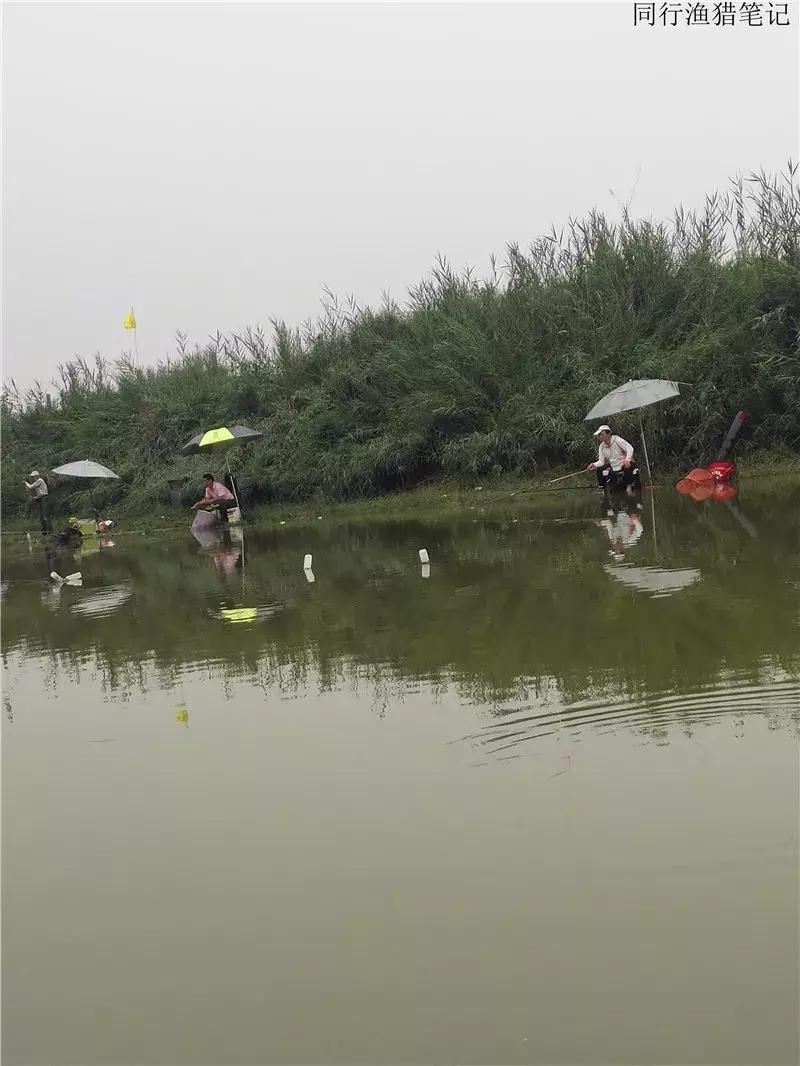 案例分析：窝子冒泡，漂却不动