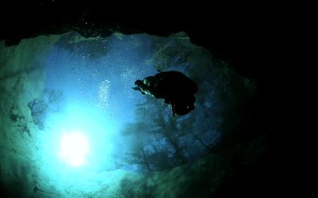 本以为是个恶心的臭水塘，没想到水下居然美到炸裂