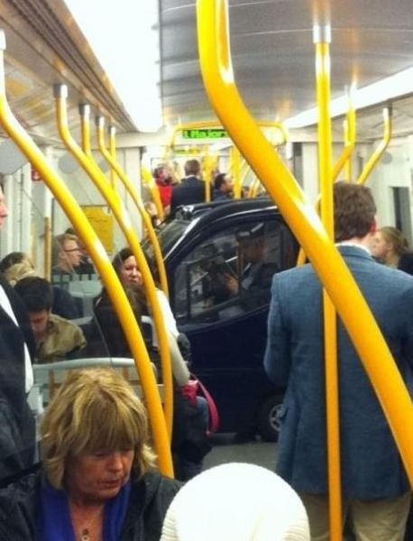 60个脑洞大开的真实照片，安装钛钢牙的军犬，拿破仑私人用的手枪