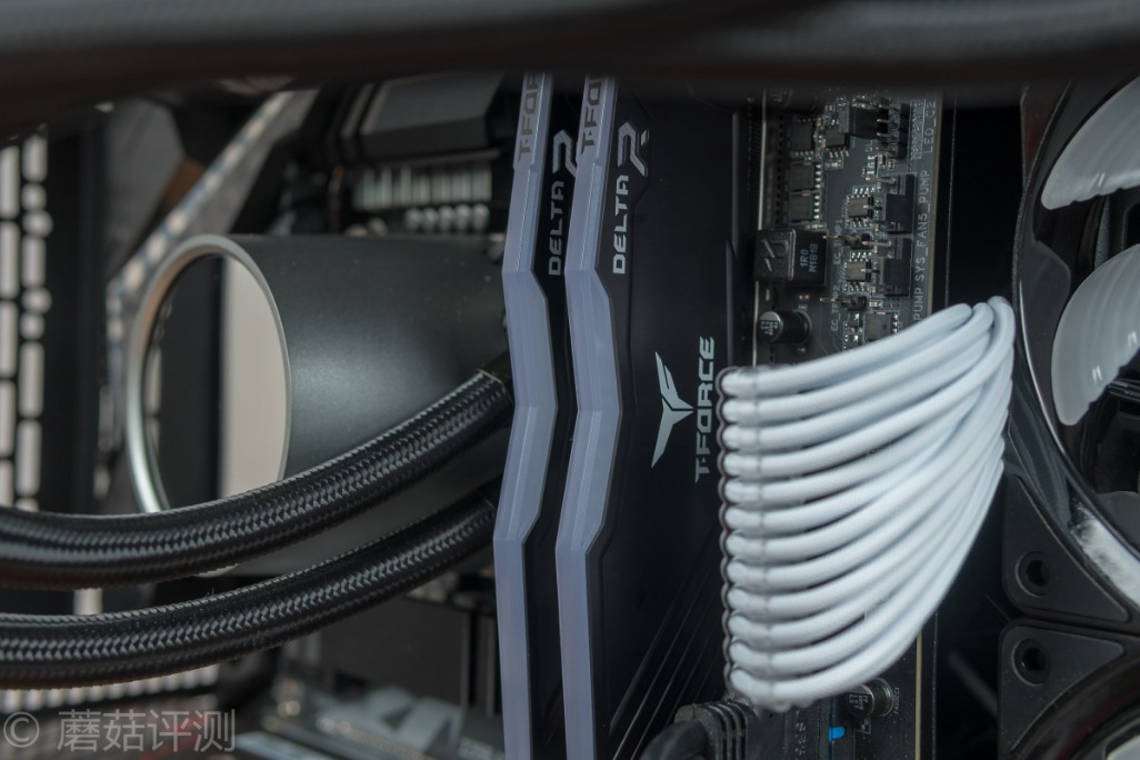 十铨deltargb,十铨team内存几线品牌