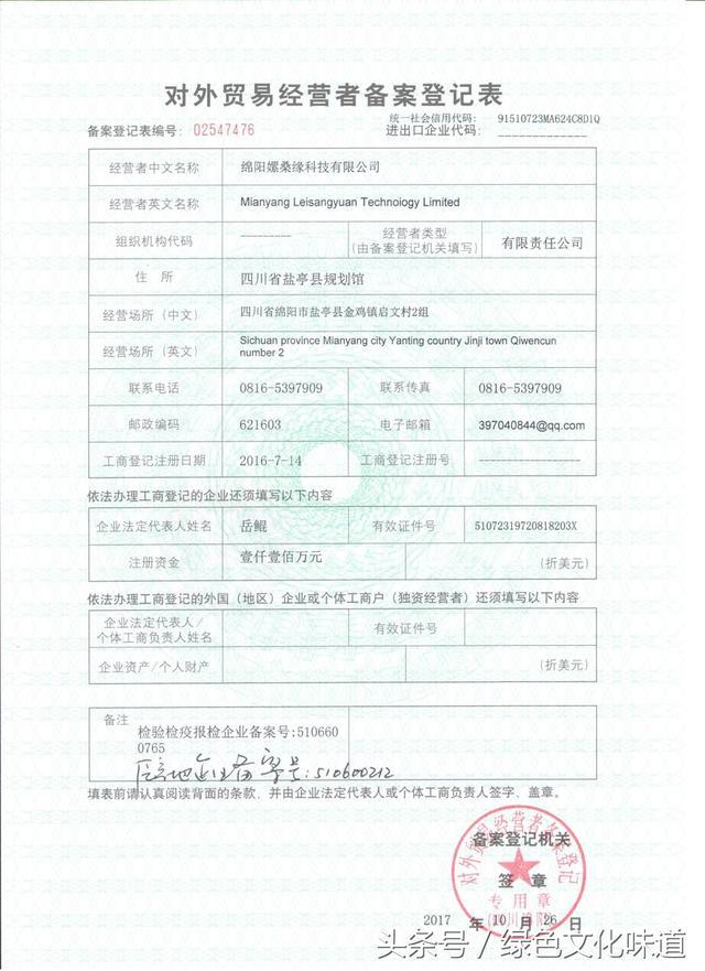 中药桑叶茶,中药之桑叶茶