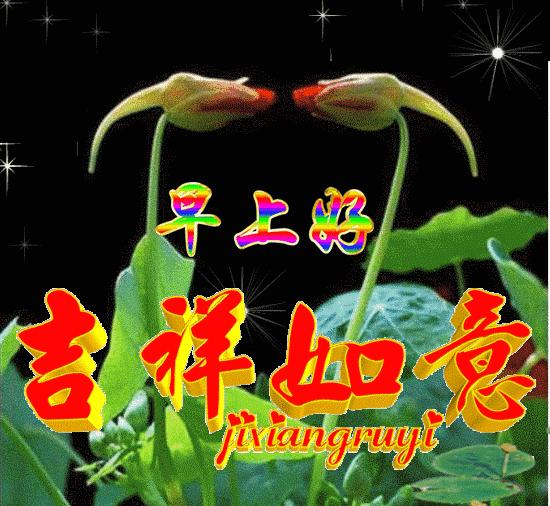 超漂亮的微信早上好祝福语,早晨好问候祝福语简短暖心