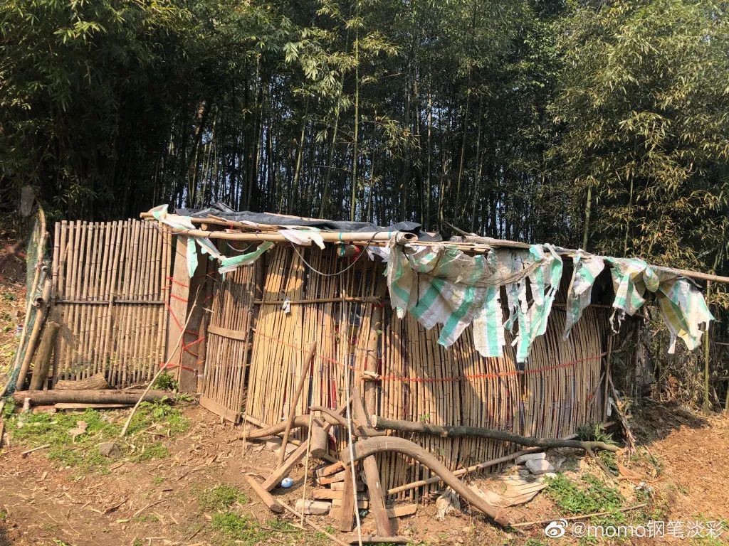 90后小姐姐在家里画画,90后小姐姐画画图片