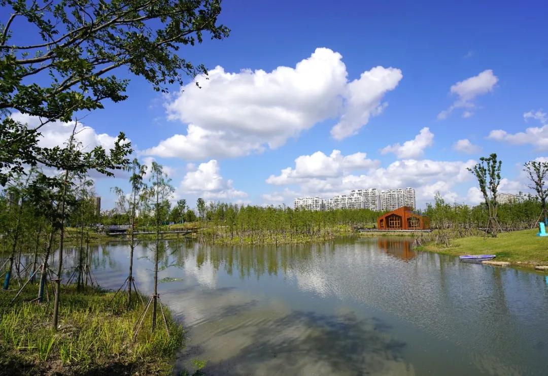 盐龙公园健身项目有哪些,盐龙体育公园室内