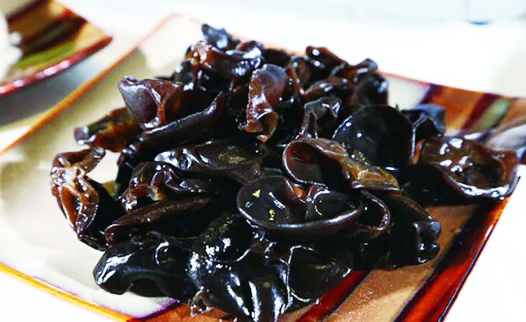 秋季约上三五好友一起去露营烧烤,来延边开始秋天的旅行