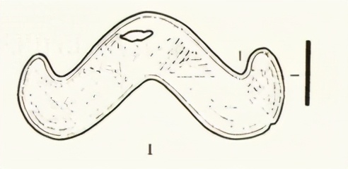 柳林杨家坪古墓,柳林县出土文物