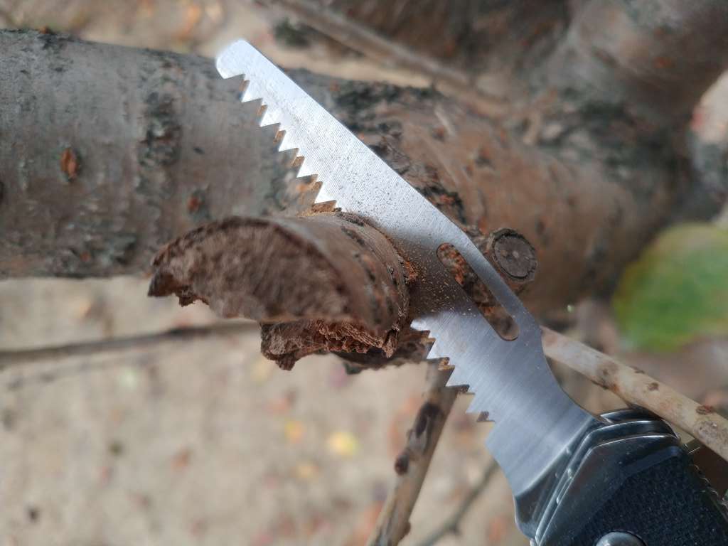 三刃木折叠小刀户外测评,三刃木折叠小刀怎么玩