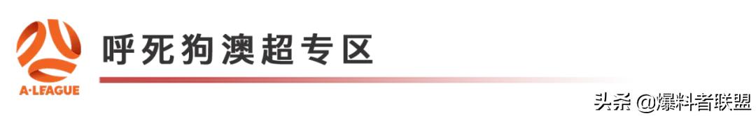 今日赛事最新预测,今日赛事情报简报